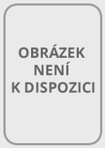 Lingea Slovník současné češtiny