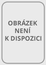 Lingea Lexicon 5 francouzský velký slovník